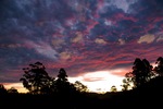 sunset over the paddock